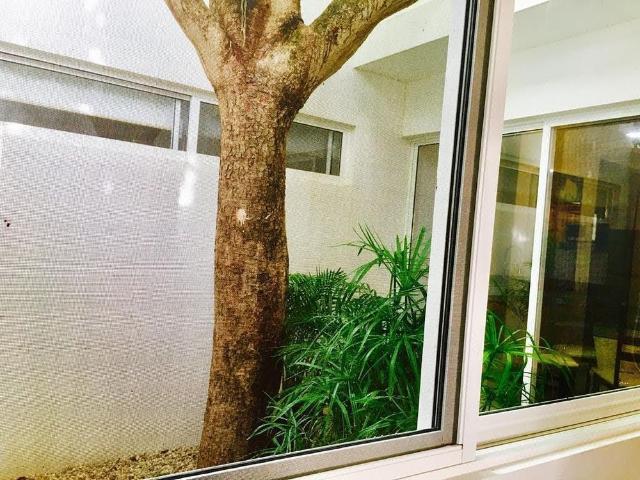 Departamento amueblado en renta en Montes de Amé