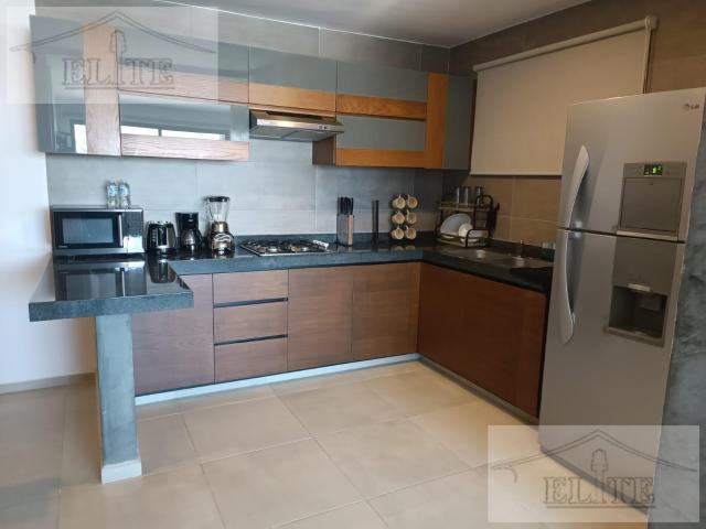 DEPARTAMENTO AMUEBLADO EN RENTA EN COLONIA LUIS ECHEVERRIA