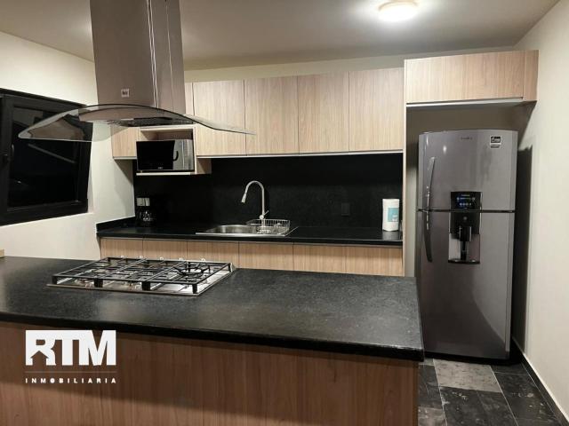 DEPARTAMENTO AMUEBLADO EN RENTA EN TORRE SEQUOIA