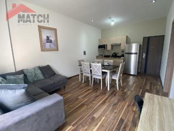 Departamento Amueblado en Renta en Virreyes