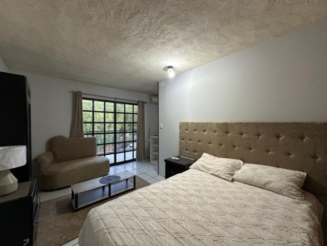 DEPARTAMENTO AMUEBLADO EN RENTA| LOS PINOS