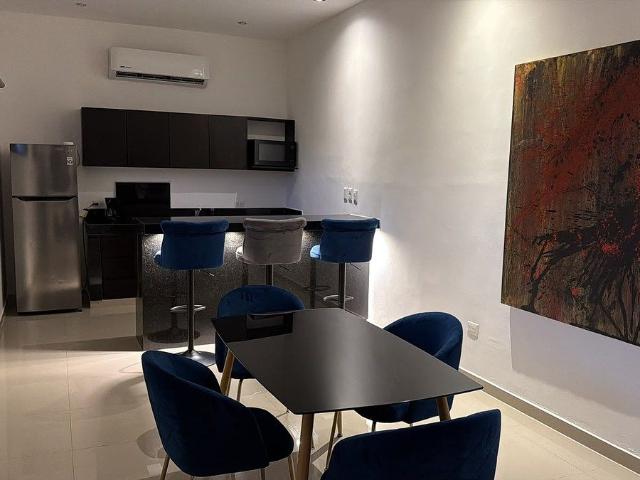 DEPARTAMENTO AMUEBLADO EN RENTA | PLANTA BAJA