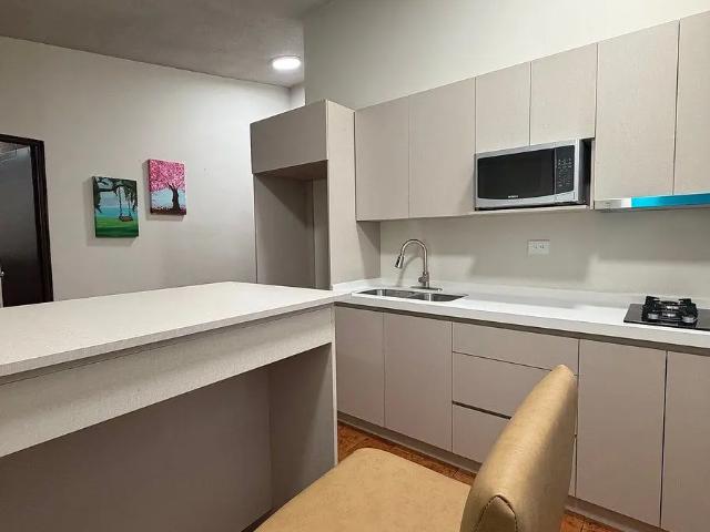 DEPARTAMENTO AMUEBLADO EN RENTA SAN NICOLAS