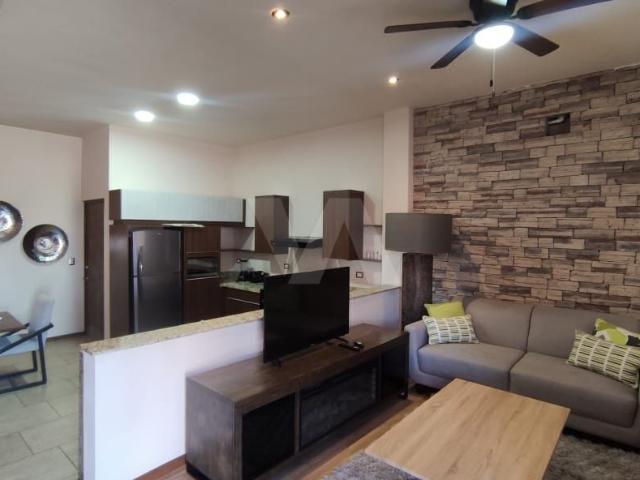 Departamento amueblado, ideal para ejecutivo al norte