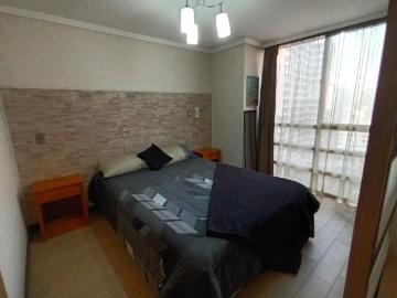 Departamento amoblado 1 dorm 1 baño en Santiago centro