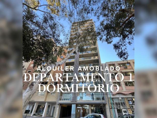 Departamento Amoblado 1 dormitorio en Alquiler ? 56m?
