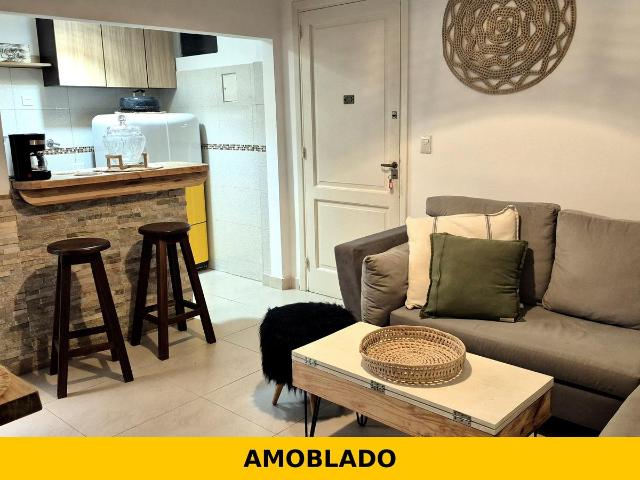 Departamento Amoblado en Alquiler de 2 Ambientes en Barrancas de Belgrano ? 42m?