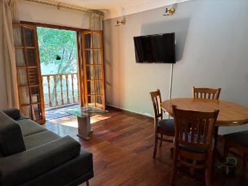 Departamento amoblado en alquiler en Nueva Cordoba / Parque las tejas