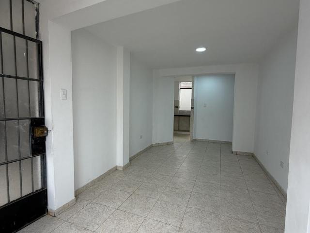 Departamento Alcides Vigo 302