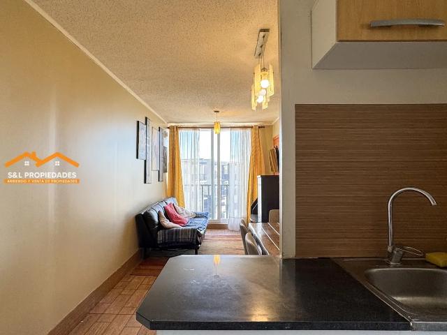 Departamento Arriendo 3d 1b 1 Estac Amoblado Los Ñirres