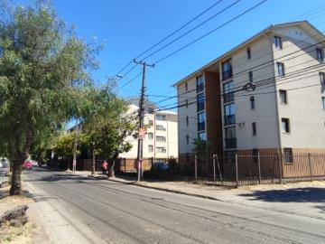 Villa Los Tilos, Talca, Provincia de Talca, Región del Maule