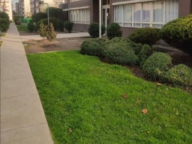 Departamento, Arriendo