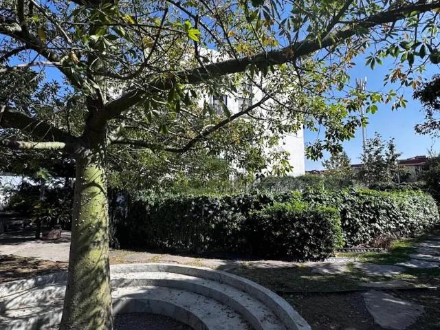 Departamento Av Circunvalación y Av Artesanos