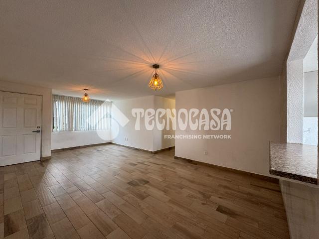 DEPARTAMENTO GOLONDRINAS, COL. RANCHO CASTRO