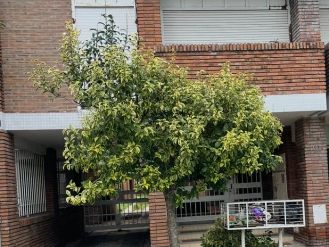 Departamento de 1 dormitorio y espacio vehicular