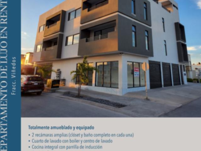 DEPARTAMENTO DE LUJO EN RENTA VIÑEDOS