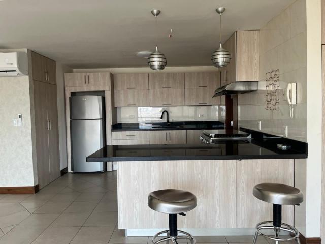 Departamento Dinast?a