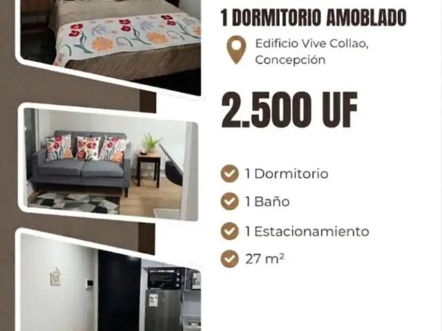 Departamento en Concepción