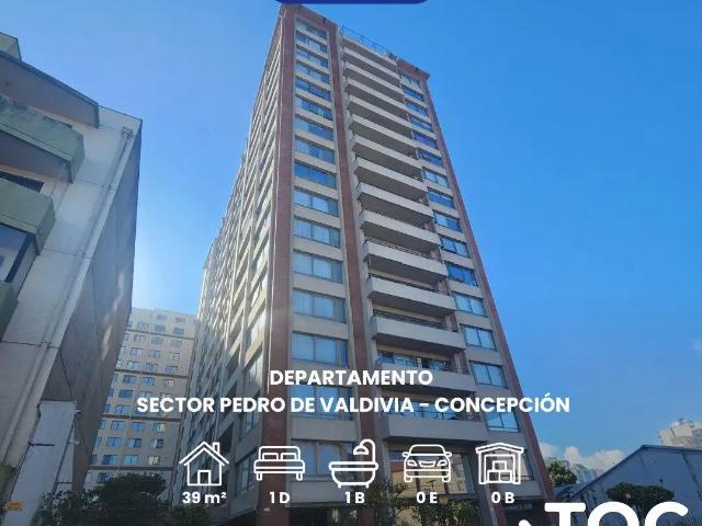 Departamento en Concepción
