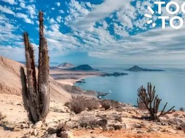 Apartamento en venta en Región de Atacama - Estacionamiento