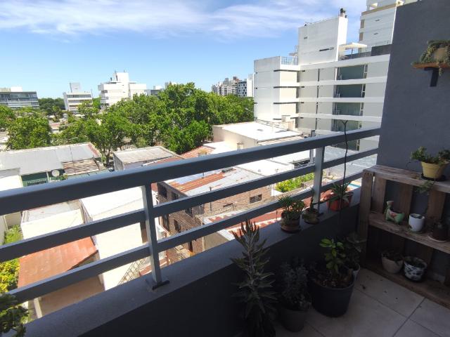 Departamento En Calle 50 1332, La Plata, Argentina