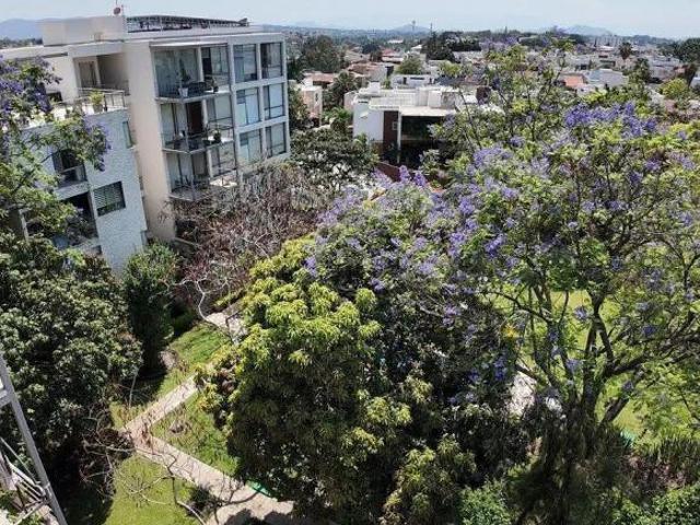 DEPARTAMENTO EN CHAPULTEPEC