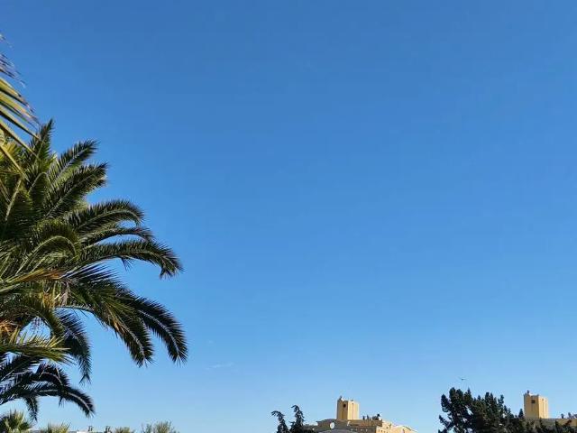 Departamento en Algarrobo