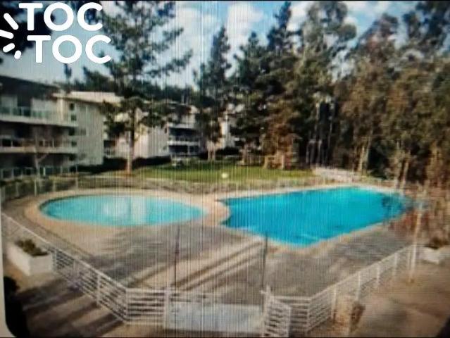 Departamento en Algarrobo