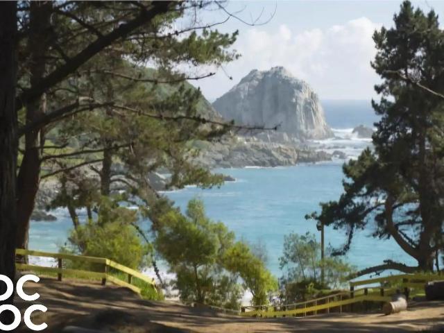 Departamento en Algarrobo
