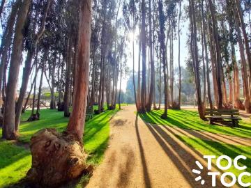 Departamento en Algarrobo