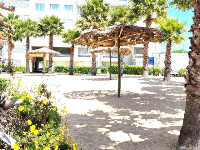 Departamento en Algarrobo