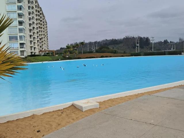 Departamento en Algarrobo