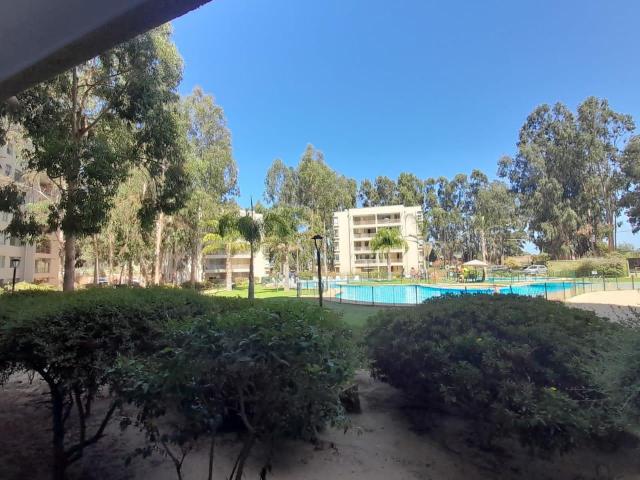 Departamento en Algarrobo