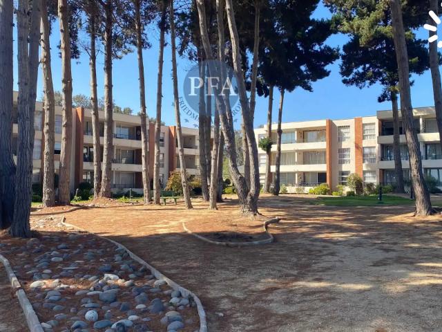 Departamento en Algarrobo