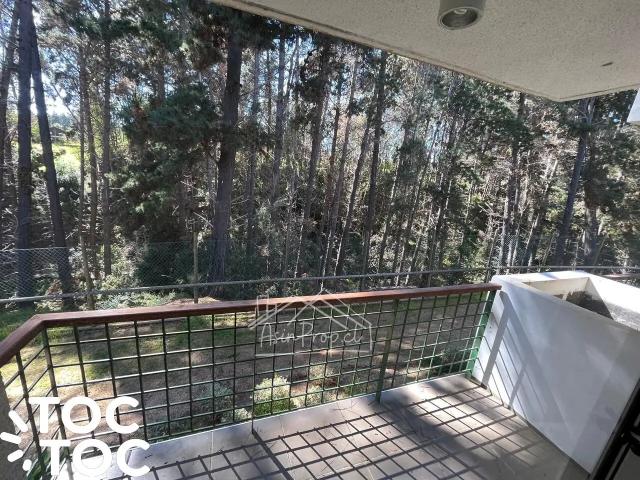 Departamento en Algarrobo