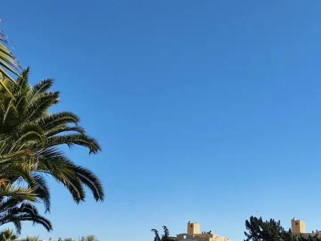 Departamento en Algarrobo