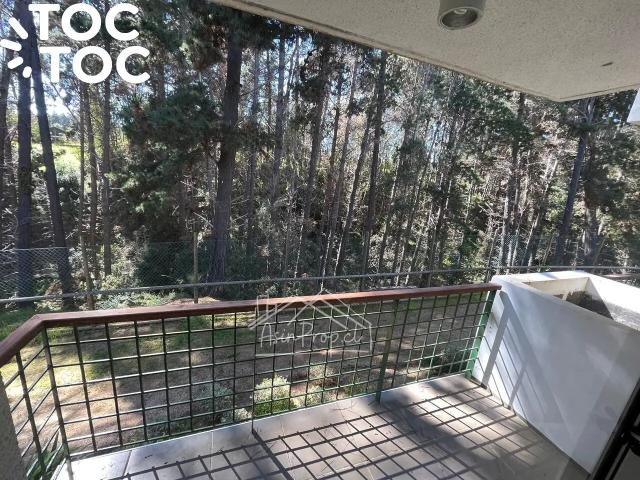 Departamento en Algarrobo