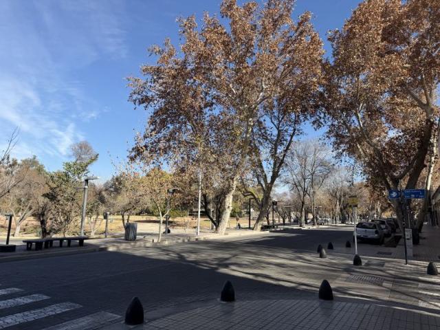 Departamento en Alquiler Capital Mendoza