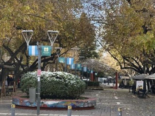 Departamento en Alquiler Capital Mendoza