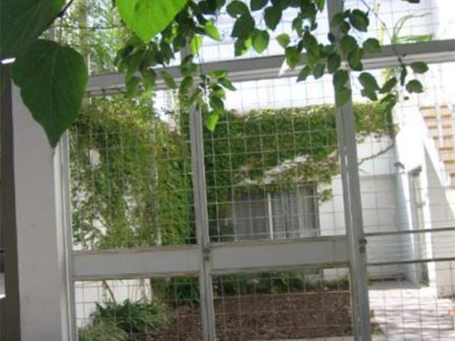 Departamento en Alquiler Capital Mendoza