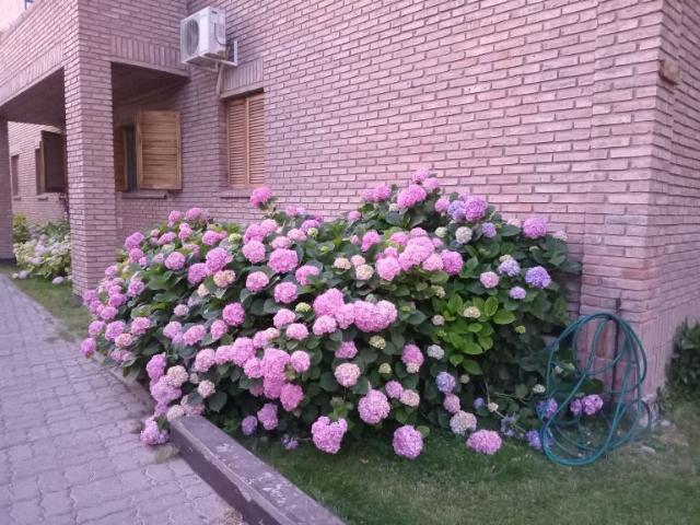 Departamento en Alquiler Godoy Cruz Mendoza