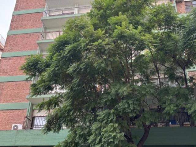 Departamento en Alquiler en Beruti 97, Centro, Bahía Blanca