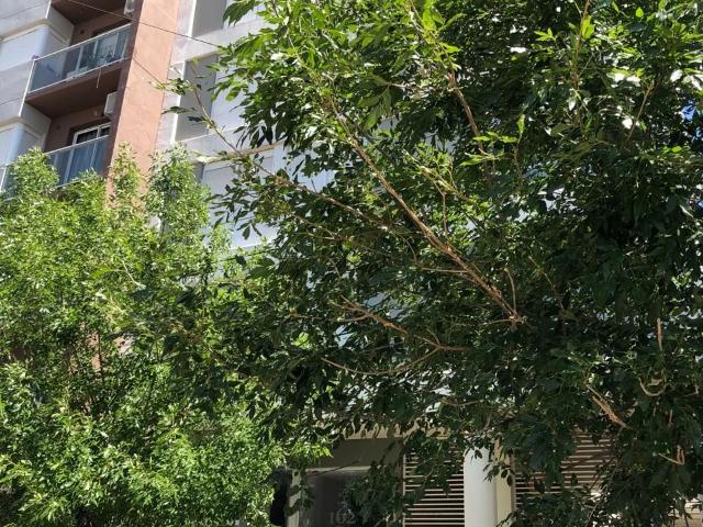 Departamento en Alquiler en Santiago Del Estero 162, Universitario, Bahía Blanca