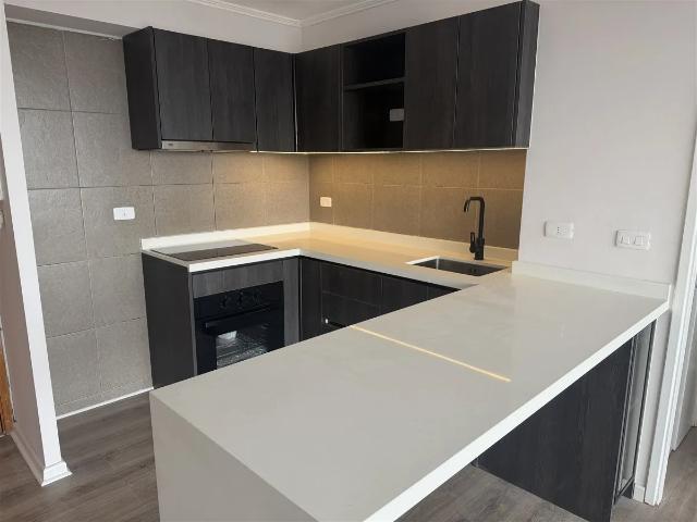 Departamento En Arriendo Carmen Con Argomedo