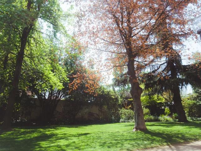 Departamento en arriendo de 3 dorm. en las condes