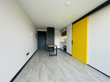 Departamento en Arriendo en Calle Santo Domingo 3916. Santiago
