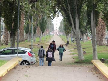 Cruce Longitudinal - El Romeral - Chacay Alto, La Serena