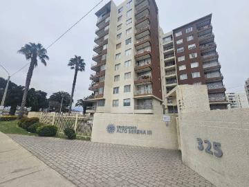 Cruz Del Molino, Puerta Del Mar, Puerta del Mar, Provincia de Elqui, Región de Coquimbo