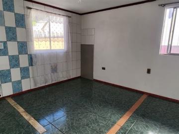 Departamento en Arriendo en Lago Ohiggins / Lago Rosselot