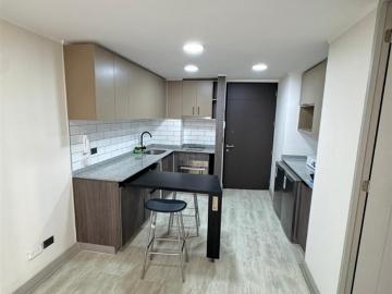Departamento en Arriendo en Metro Hospitale